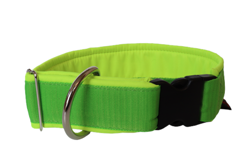 Obojek BASIC 5 cm, 35 - 45 cm, zeleno - neon žluto/zelený - foto 1