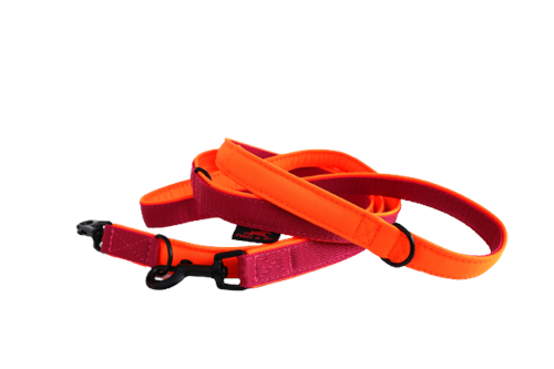 Vodítko BASIC pro střední psy 200cm přepínací, růžová-neon oranžová - foto 1