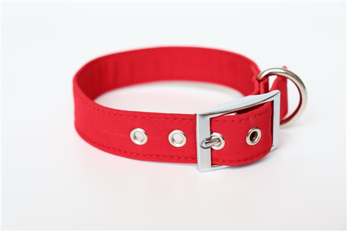 Obojek EASY LIGHT 2,5 cm, 32 - 38 cm - foto 1