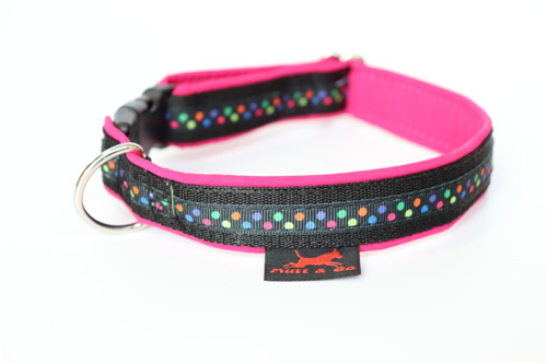 Obojek BASIC se stuhou, 2,5 cm, 25 - 40 cm - foto 1