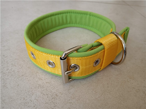 Obojek žloutkovo - zelený, 3 cm, 30 - 36 cm - foto 1