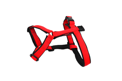 Klasický Postroj BASIC pro malé psy 2,5cm, červeno-černý  - foto 1