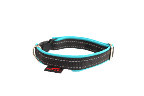 Obojek BASIC 2,5cm, 30-45cm, černá s reflexem-tyrkysová - foto 1