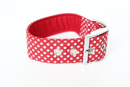 Obojek DESIGN 4 cm, 31 - 39 cm - foto 1