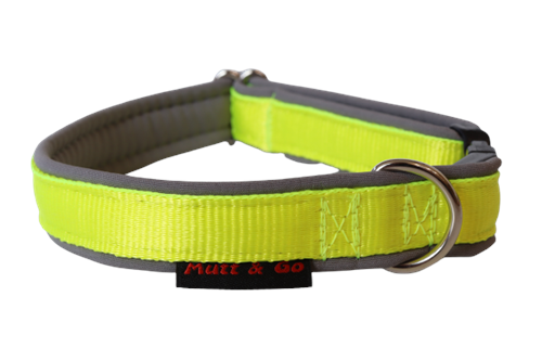 Obojek BASIC 2 cm, 25 - 40 cm, neon žluto - sv. šedý - foto 1