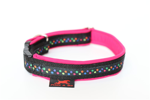 Obojek BASIC se stuhou, 2,5 cm, 25 - 40 cm - foto 1